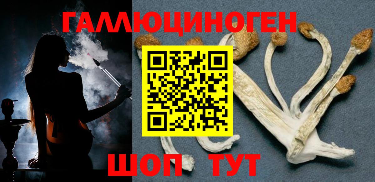 Псилоцибиновые грибы Psilocybine cubensis Георгиевск