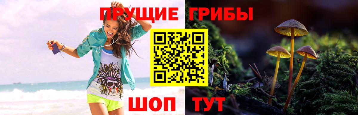 Галлюциногенные грибы Psilocybine cubensis  Вход с VPN  Георгиевск 